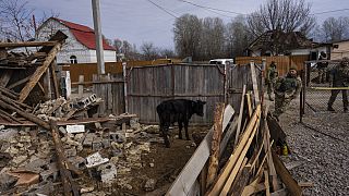 Un soldado se encuentra en la entrada de una granja destruida tras un ataque ruso cerca de Brovary, en las afueras de Kiev, Ucrania, el lunes 28 de marzo de 2022
