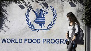 Всемирная продовольственная программа - крупнейшее гуманитарное учреждение, занимающееся проблемами голода в мире