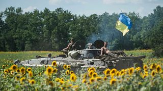 Ukrainian troops ride on an APC with a Ukrainian flag, in a field with sunflowers in Kryva Luka, eastern Ukraine