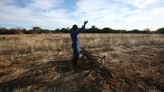 Le Zimbabwe redistribue ses terres inutilisées par les agriculteurs