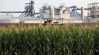 Etanol üreticileri benzindeki etanol oranının yüzde 10'dan yüzde 15'e çıkarılması için lobi faaliyetleri yürütüyordu