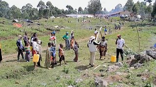 Congolese refugees start arriving in Uganda