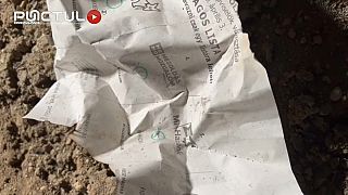 Ein Journalist der lokalen Website punctul.ro hatte die Stimmzettel auf der Mülldeponie Nahe Târgu Mures gefilmt.
