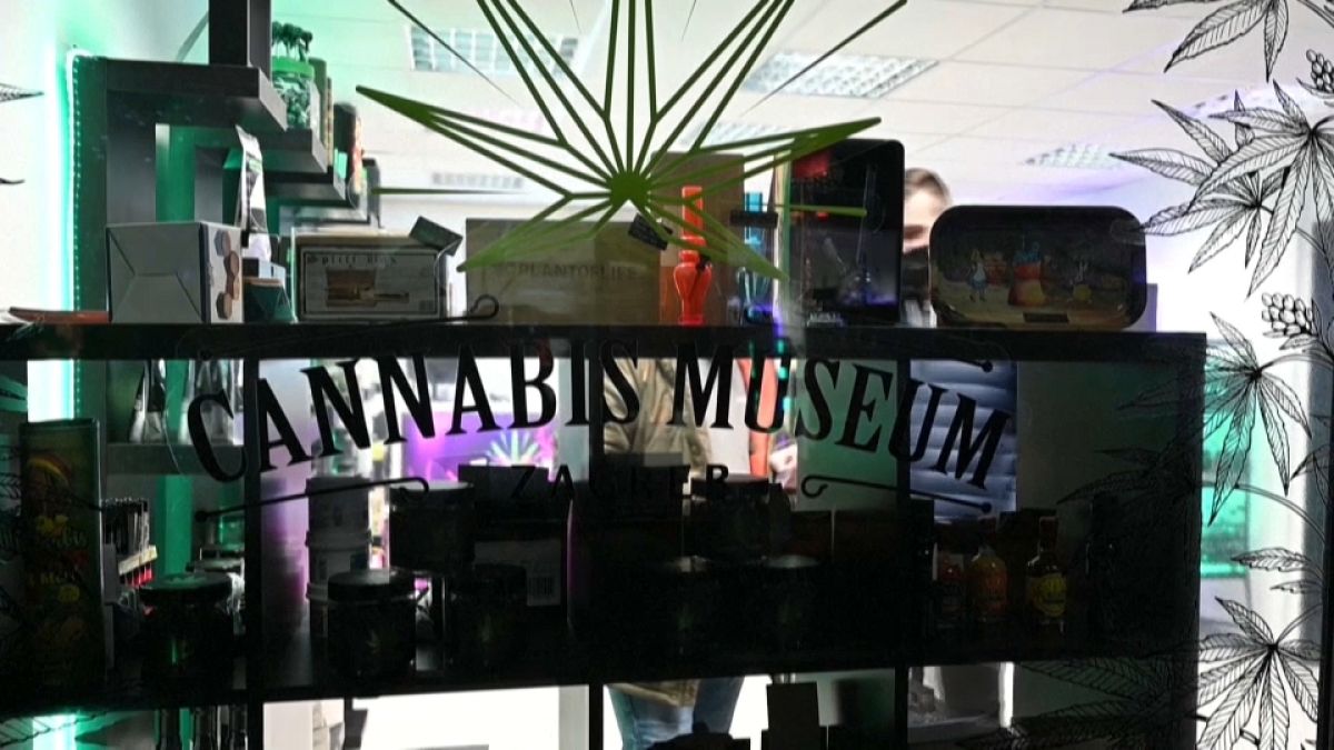 Rituals, healing or inebriation, nutrition, clothing, fuel or construction material, the millenial history and many uses of cannabis are on display in Croatia's first museum.