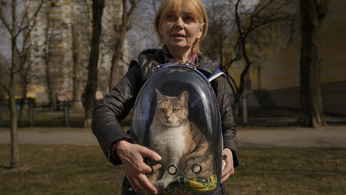 Irina Alitsia nevű macskájával Irpin városában Kijev külvárosában, 2022. március 31-én, csütörtökön.
