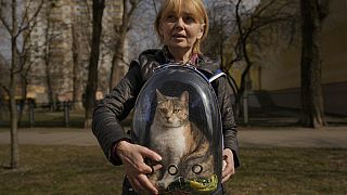 Irina Alitsia nevű macskájával Irpin városában Kijev külvárosában, 2022. március 31-én, csütörtökön.