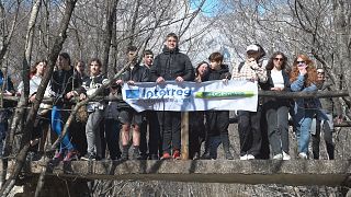 Croazia: la foresta di faggio di Paklenica, oasi per 10mila specie diverse