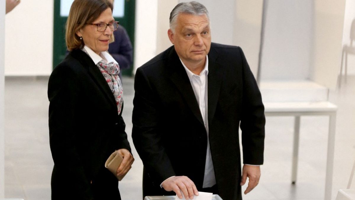 Macar Başbakan Viktor Orban parlamento seçimlerinde oyunu sandığa atarken