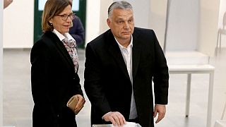 Macar Başbakan Viktor Orban parlamento seçimlerinde oyunu sandığa atarken