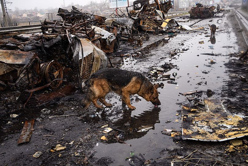 Rodrigo Abd/AP Photo