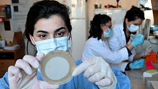 Tiflis'teki Eliava Enstitüsü bakteriyofajlar yani bakteri yiyen virüsler üzerine çalışıyor