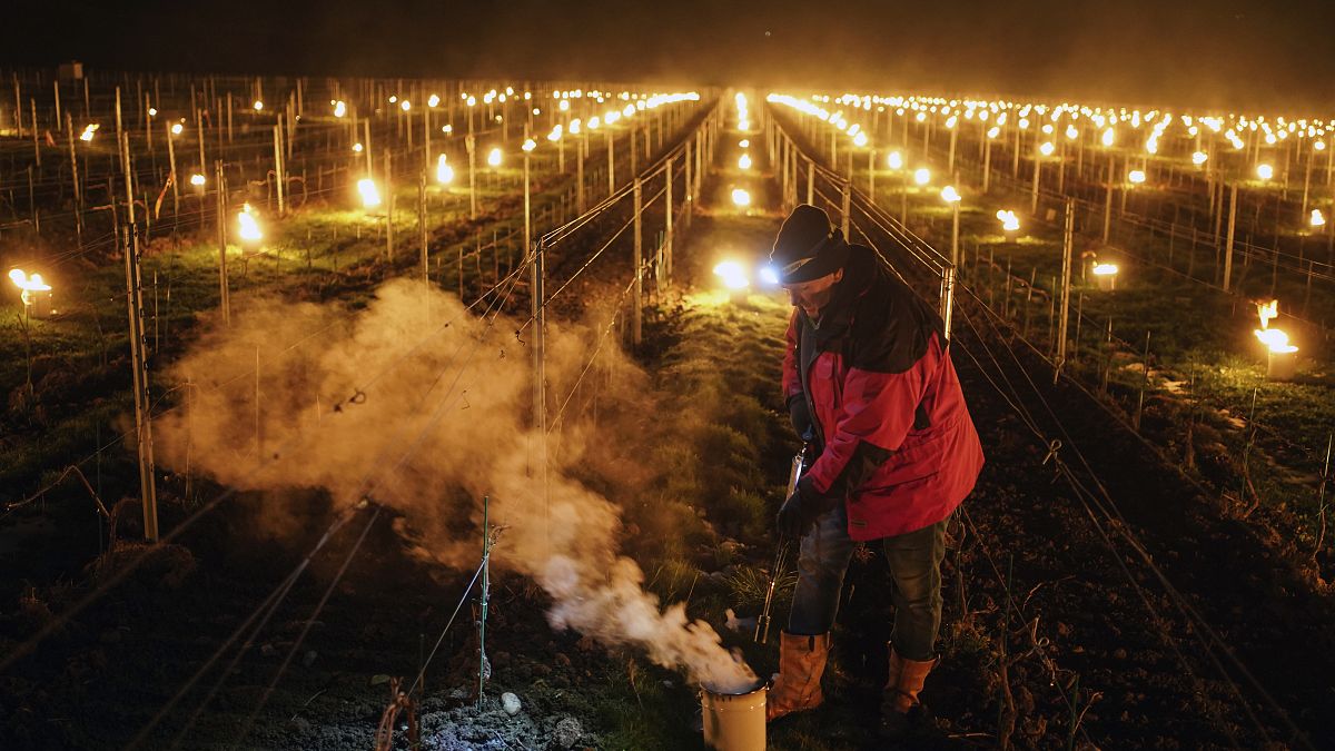 Un vigneron de la région du Jura, en France, tente de protéger ses vignes du gel à l'aide de feux, 4 Avril 2022