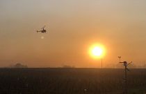 Caroline Schiel flies the Robinson helicopter over vine parcels in Burgundy at sunrise on Monday 4 April