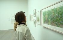 La Galería Saatchi dedica una exposición a la belleza de la flora