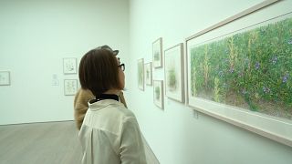 Выставка ботанического искусства и фотографии в галерее «Саачи»