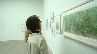 Flower power: botanical art takes root at Saatchi Gallery