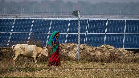 A woman walks in front of a solar power plant in Mikir Bamuni village in India.