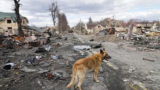 Destroyed houses and Russian military vehicles, in Bucha close to Kyiv, Ukraine