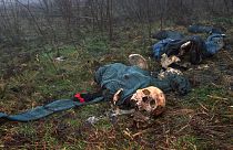 Restos mortais do massacre de Srebrenica, encontrados em fevereiro de 1996