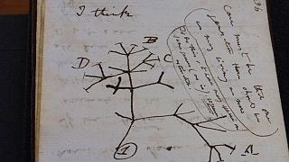 Darwin'in bulunan not defterindeki "Hayat Ağacı" çizimi