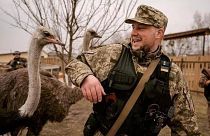 UAnimals are working alongside the Ukrainian army to rescue animals caught up in the Russian invasion