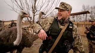 UAnimals are working alongside the Ukrainian army to rescue animals caught up in the Russian invasion
