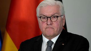 German President Frank-Walter Steinmeier addresses the media in February.