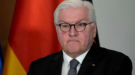 German President Frank-Walter Steinmeier addresses the media in February.