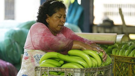 The war in Ukraine has dealt a heavy blow to Ecuadorian banana trade