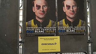 Un artiste détourne les affiches de politiciens français