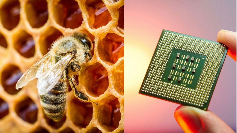 Honey could be used to make powerful computer chips and cut e-waste, researchers say