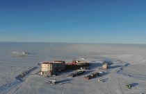 شاهد: القارة القطبية الجنوبية تسجل درجات حرارة قياسية بسبب التغير المناخي