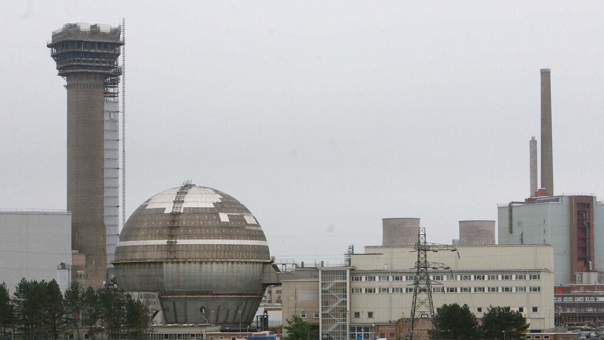 İngiltere'nin kuzeyindeki Seascale'de yer alan Sellafield Nükleer Santralinin genel görünümü (arşiv)