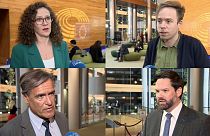 EP-Abgeordnete stellen sich den Fragen von Euronews.