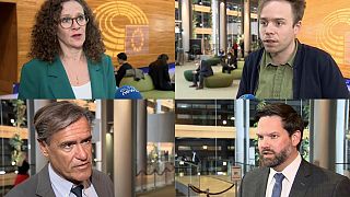 Quattro deputati europei rispondono alle domande di Euronews