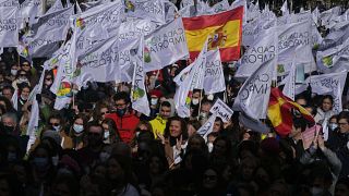 People applaud during a protest against abortion and euthanasia in Madrid in November.