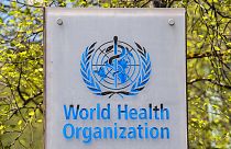 Az Egészségügyi Világszervezet logója a genfi központ előtt