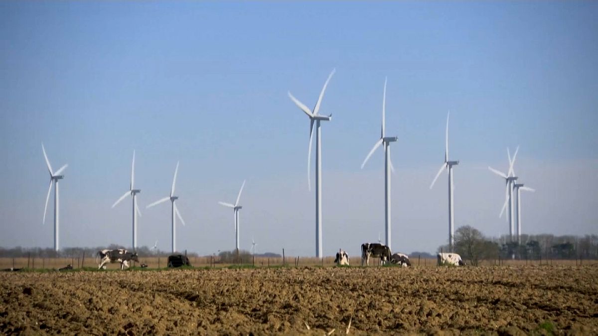 عنفات توليد الطاقة الكهربائية من الرياح - فرنسا