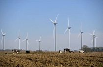عنفات توليد الطاقة الكهربائية من الرياح - فرنسا