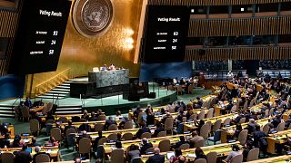 Cenevre merkezli BM İnsan Hakları Konseyi