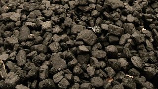 Jó minőségű feketeszén – képünk illusztráció