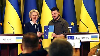 Президент Украины получил папку с официальным опросником.