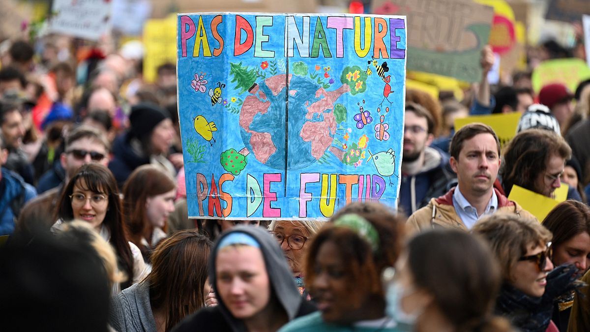 „Keine Natur, keine Zukunft“ steht auf diesem Schild, das auf der Kundgebung in Paris gesehen wurde