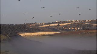 طيور اللقلق تحلق فوق جزء من الجدار الفاصل الإسرائيلي بين كيبوتس كراميم الإسرائيلي وقرية عرب الفريجات في الضفة الغربية