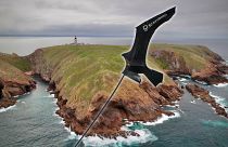 Illustration: the "Scarybird" device keeps seabirds safe at the Berlengas archipelago, Portugal