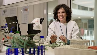 Sandra Ramos, Researcher in marine ecology, CIIMAR