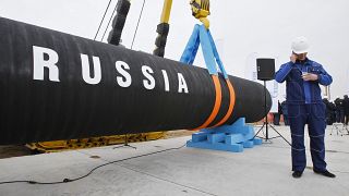 Nel 2021 i Paesi dell'Unione europea hanno importato più di 155 milioni di metri cubi di gas dalla Russia