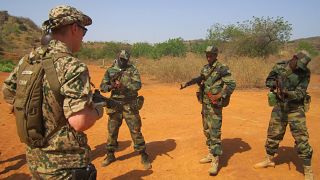 EU halts military training for Malian troops