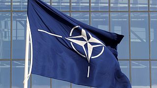 NATO bayrağı