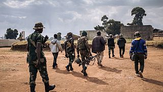 DRC: Last four negotiators held hostage by armed group freed